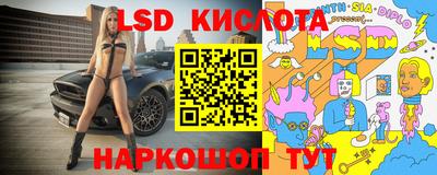 амф Донской