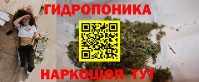 наркотики Дубна